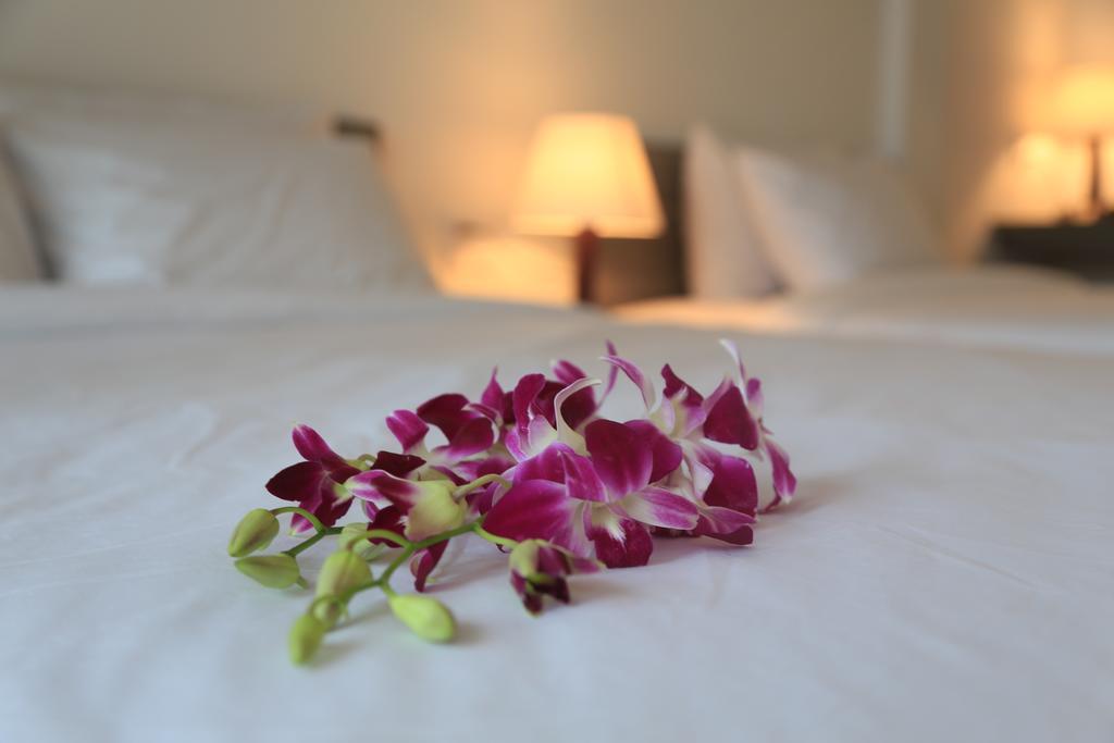 Ylang Garden Villa Хой Ан Екстериор снимка